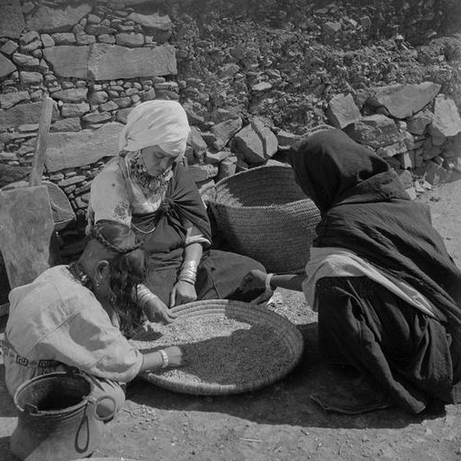 Taghjicht/ Femmes des Ouaouzguite portant, pour l'une, le marhma de cotonnade blanche, triant des graines